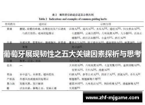 葡萄牙展现韧性之五大关键因素探析与思考